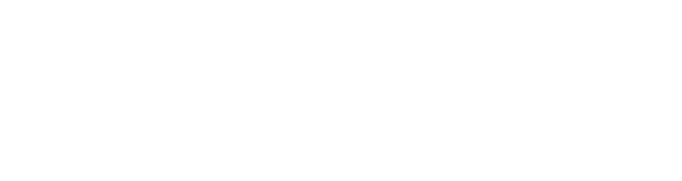 AutoBGV